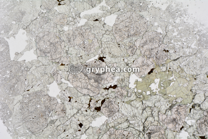 Eclogite LPNA x3,5 - gryphea.org